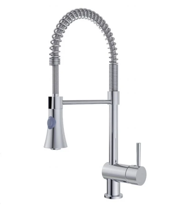Santary Ware Pull out Shower Spout Kitchen Faucet