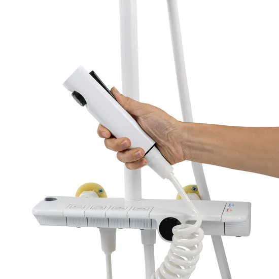 Storage Showerhead Combo: Organize and Relax 