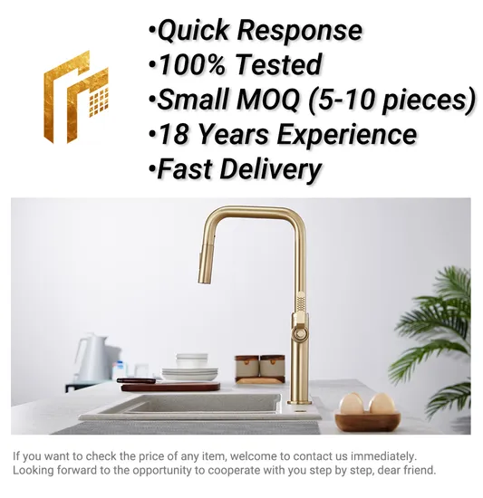 Factory Direct Price Best Luxury Bathroom Black Bidet Sprayer for Toilet 