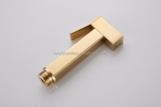 Brass / Zinc Shattaf Handle Held Toilet Bidet Sprayer (HY2332)